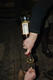 DSC_0064.JPG